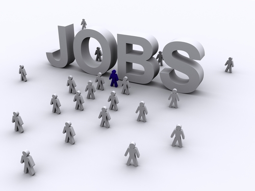 job_search.jpg